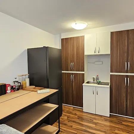 Industrial Vibe Flat Apartament Lublana